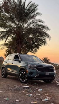 سيلتوس EX • ٢٠٢٤ • وارد امريكي