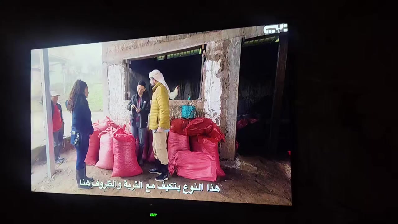 سلام عليكم بلازمه حجم 40 بدون نت نوعيه الاصلي جديده سعرها 125 مكاني الشعب رقم *********** واتساب
