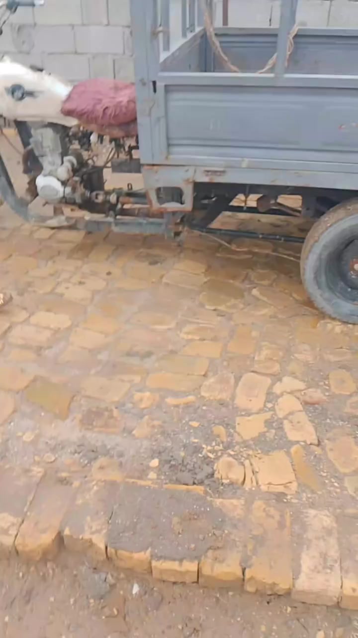 ستوته انتيار***********
