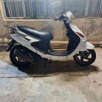 دولفين • هندل وسلف • عداد معطل