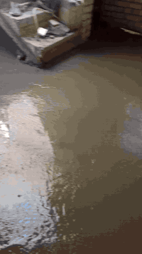 السلام عليكم صب ارضيات خباطه درجه اولى والتزام بالموعد وهذا رقمي كافه محافظات العراق في كربلاء ☎️ واتساب سبيس وحدل وتنظيف ***********
