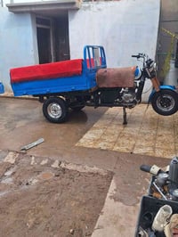 موديل ١٤ • كفالة عامة • كوت