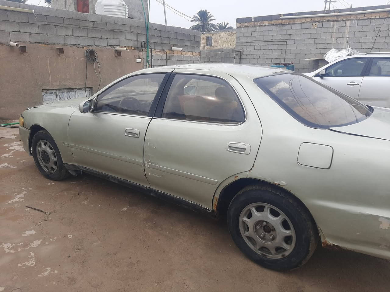 كرستا ناعمه او حلوه مال جناي على كد افلوسك سعرها 26 محرك ونجي مجاول رياضي اتكفلك كص نقل جثه عيب شرعي اصوليات تحويلك ثلث تشهر تاخذ تحويل مني مكانها ذي قار جاهزة كهربائيات انسى العطل خير من الله 
***********
