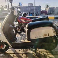 ماكس بوليسي • ابيض • مكفوله