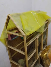 بابل • سنغافورة • مكان