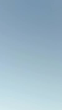 ماكس منغولي • مامفتوحه • نضيفه