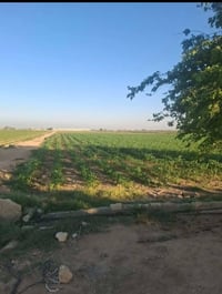 ١٥ فدان • عقد أخضر • مزرعة دواجن