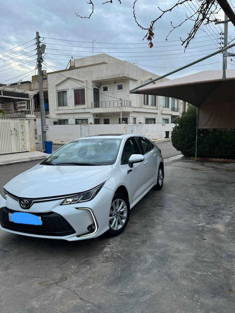 کڕۆڵا 2024 هیچ نیە بئ شوخ بئ لێدان دەعامی بۆ دەعامی بەشەرت 19هەزار ڕۆیشتوە *********** أربيل, العراق
