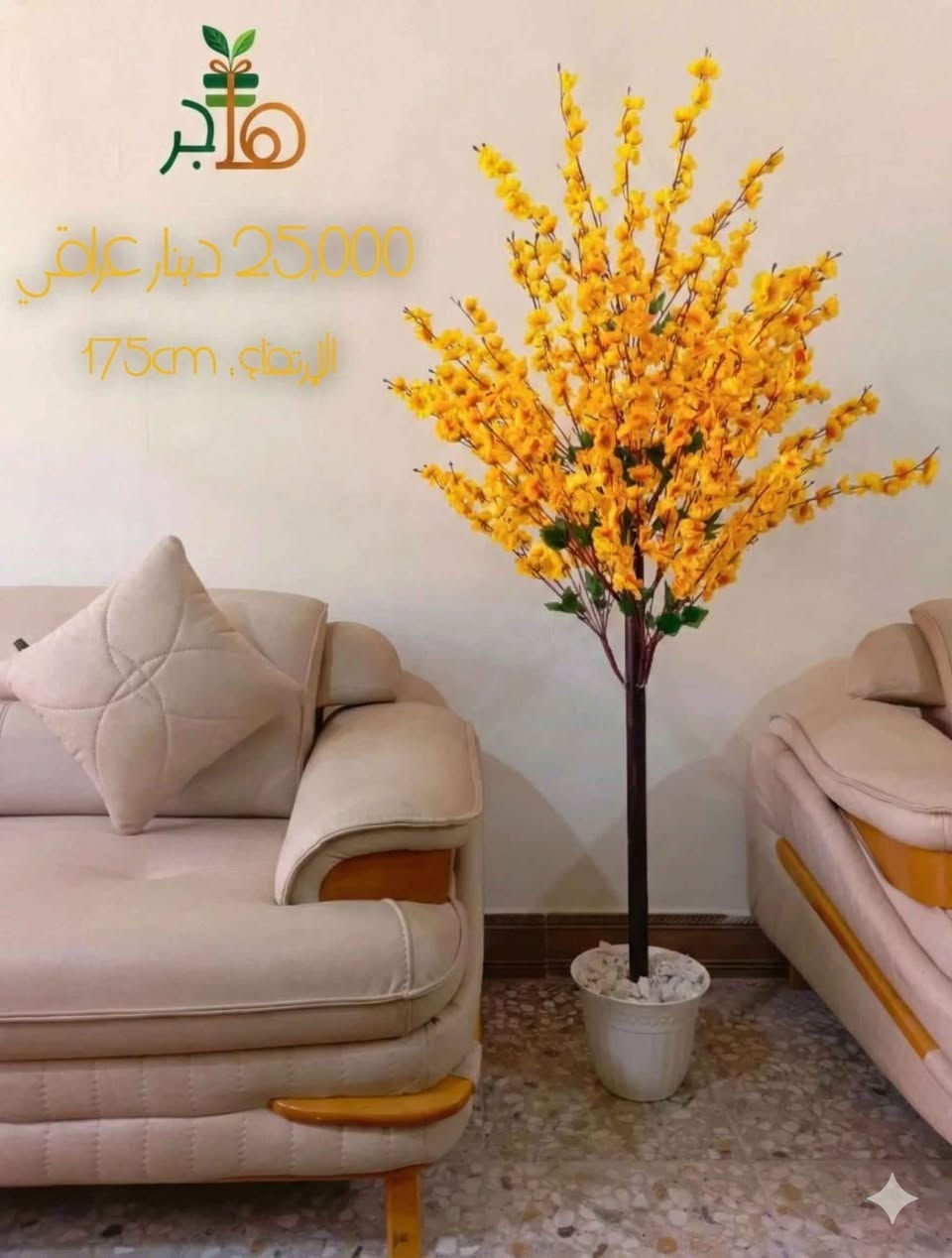 ارتفاع الشجرة :  175cm 
سعر الشجرة : 25,000 دينار عراقي 

أطلبوها الآن : *********** النجف, العراق
