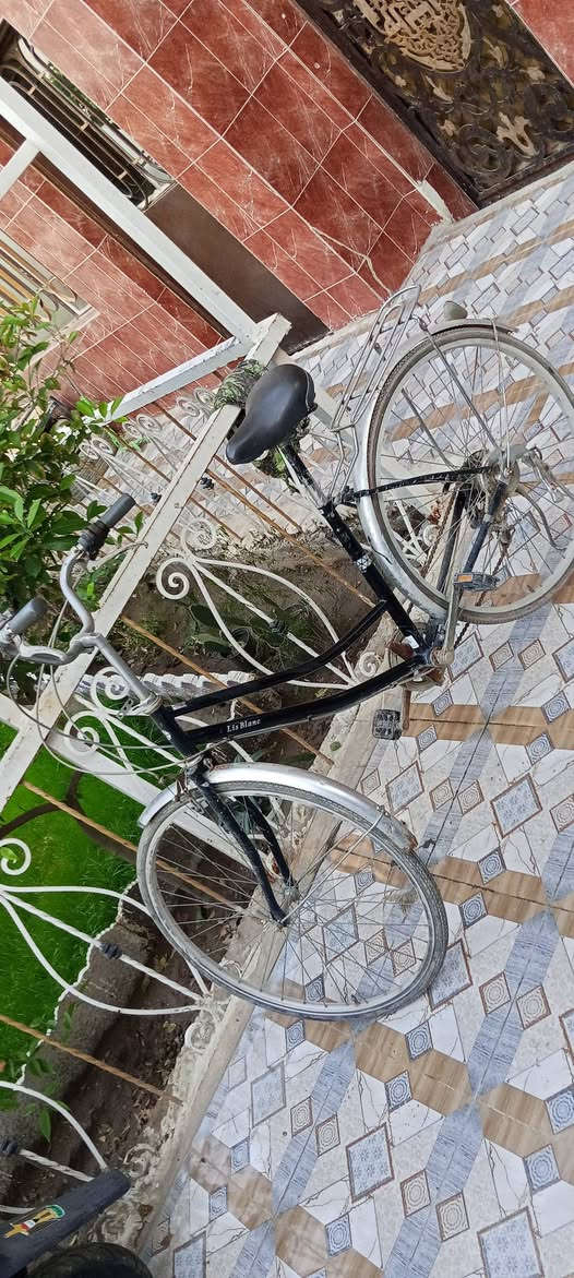 بايسكل للبيع نضافه كلش ياباني
موديل 2022
البريك امامي وخلفي شغلات 
السعر75 
مكاني حله شاوي قرب غرفة التجاره


**إذا كنت صاحب هذا الإعلان وتريد حذفه لأي سبب، رجاءا أرسل رسالة إلى الدعم الفني**