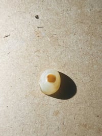 بغداد • سليماني • يماني