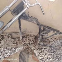 شاصي • نجف حي نداء • قابل تفاوض