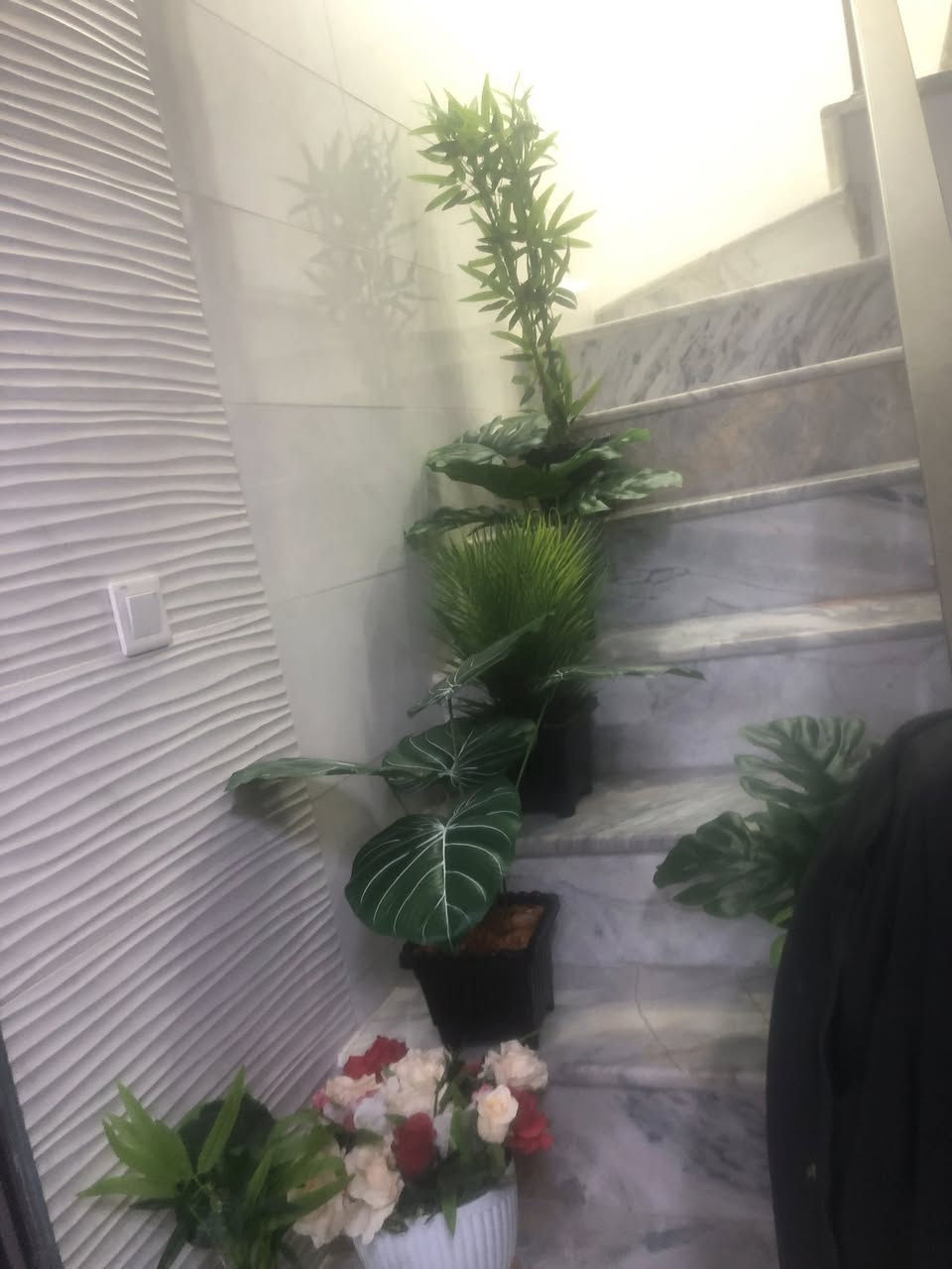 للبيع كل سبعه ب٥٠بغداد الشعب اترجاكم الشراي يجي خاص واني هنا اكتب الكم اجوبه اسألتكم الزرع صناعي وقفلهن سبعه ب٥٠المكان بشعب اكو كبار اكو صغار ثخينات جدا لان هواي يسالون وياخذون وقت وتالي ميشترون او يحجزون وميجون اعتذر منكم بس وقت ماعندي كل التفاصيل موجوده


**إذا كنت صاحب هذا الإعلان وتريد حذفه لأي سبب، رجاءا أرسل رسالة إلى الدعم الفني**