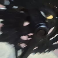 باسكل ياباني • نضيف • ماسنجر