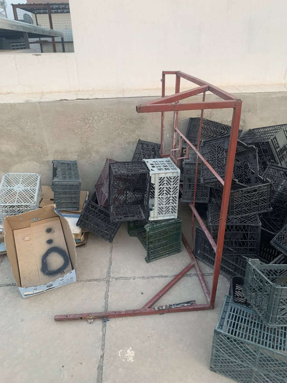 السلام عليكم عندي هذا الجنج للبيع هو والقمرية مالته سعره ٣٥ وبيه مجال للشراي ***********
وهذا رقمي
