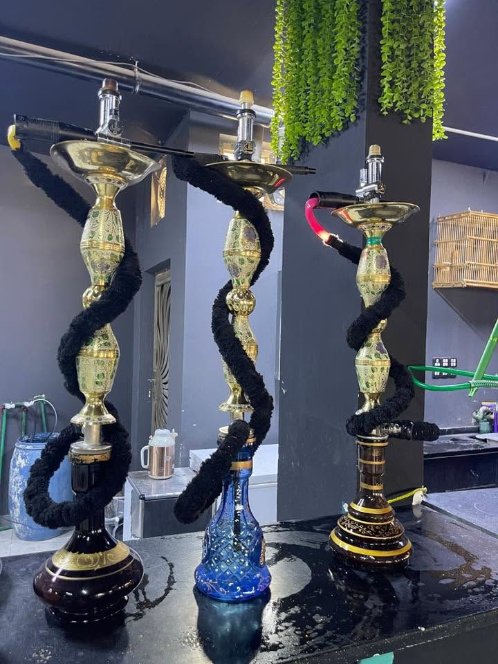 للبيع ناركيلة طه عدد 11
البصرة الزبير 
***********
