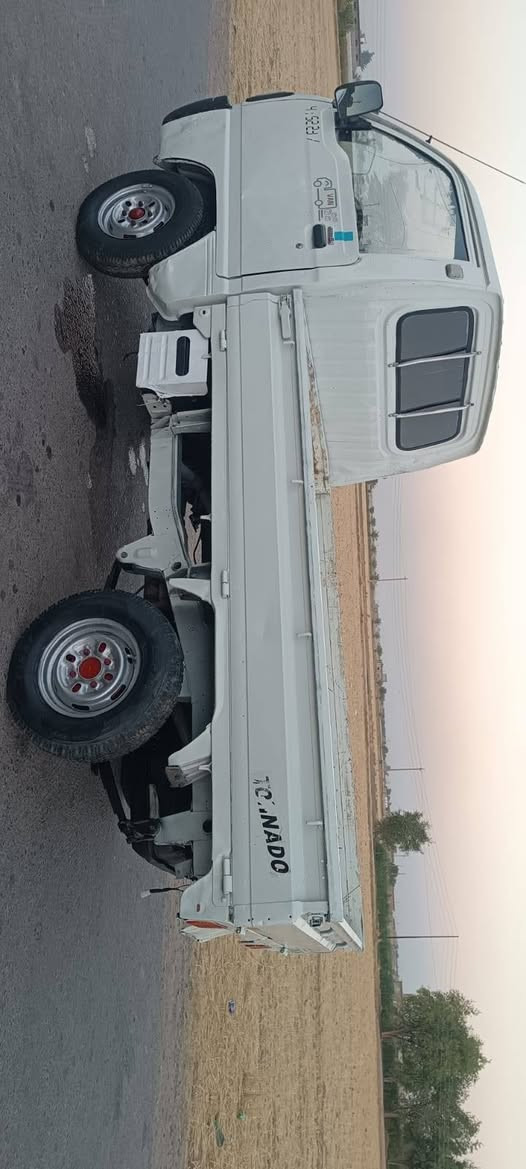 شنكه للبيع المكان سامراء الطيوب السعر 15 وبيه مجال بدون اوراق للاتصال ***********
