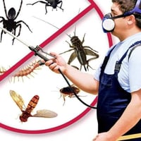 🖐️سلام عليكم 👫اخواني واخواتي  الي يريد🚿 يرش مبيد حشري🦗🪲🦟🪳🪰🐝🕷️🐛🪱🦎  للمن...