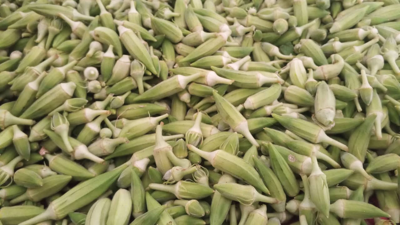 السلام عليكم بانيه درجه اولى مال تجميد مكان بابل محاويل ناحية الامام العباره ***********
