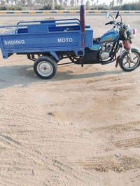 ستوته • 2023 • مرقمه قادسية