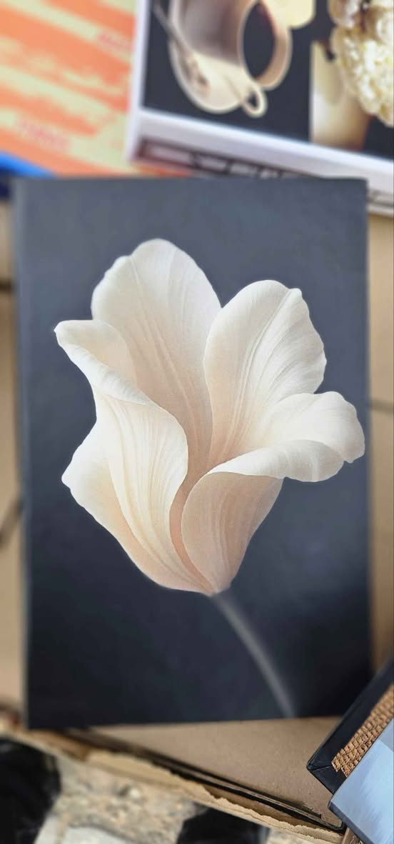 كتاب ديكور - داخل بوكس خشب 

القياسات : 
ارتفاع : 27 سم 
عرض : 18 سم الرفاعي, ذي قار


**إذا كنت صاحب هذا الإعلان وتريد حذفه لأي سبب، رجاءا أرسل رسالة إلى الدعم الفني**