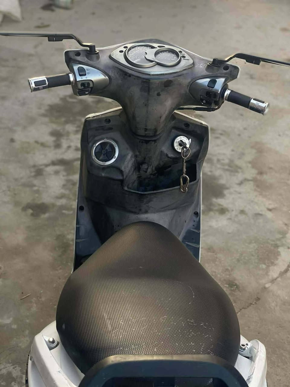 سكنس فحل للبيع سعر750وبيهة مجال مكاني الإسكندرية ***********كلة شغال مكينة مامفتوحة كفالة
