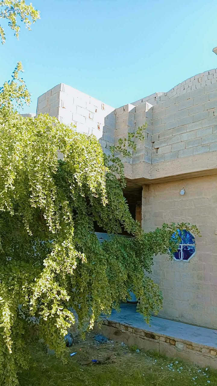 🕋بسم الله الرحمٰن الرحيم 🕋

👋السلام عليكم ورحمة الله وبركاته👋

🌐الموقع الانبار/قضاء الفلوجه 
 
🗾 بيت للبيع  حي جبيل قرب مدرسه الأساور 

سيء

مساحه 250 واقع حال 300 

♦️شارع 10 

🔵بناء بلوك  سنه 2018حديث 
🔰يتكون من طابقين
♦️كراج 
♦️مدخل 
♦️استقبال
♦️مطبخ 
♦️صاله 
♦️غرف 6
♦️مناور 2
♦️صحيات 2
السعر المعلن من قبل صاحب الدار 95قابل للتفاوض 

‭0786 959 8192
