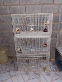 قفاصه مال طيور للبيع عدد 6 بس مطبوكات سعر مناسب مكلفه بنشر للتواص على ...