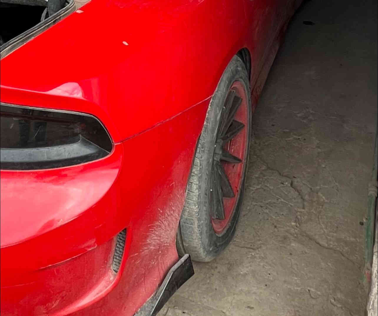 شعندك (ويـل)مراوس نزل   ويل فيراده 20 توسايز مكفول من كلشي مكاني بابل او نجف /حاليا مصبوغ اسود والبطن احمر
