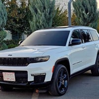 ليمتد بلاس انديفيجوال • ٢٠٢٣ • حادث خفيف