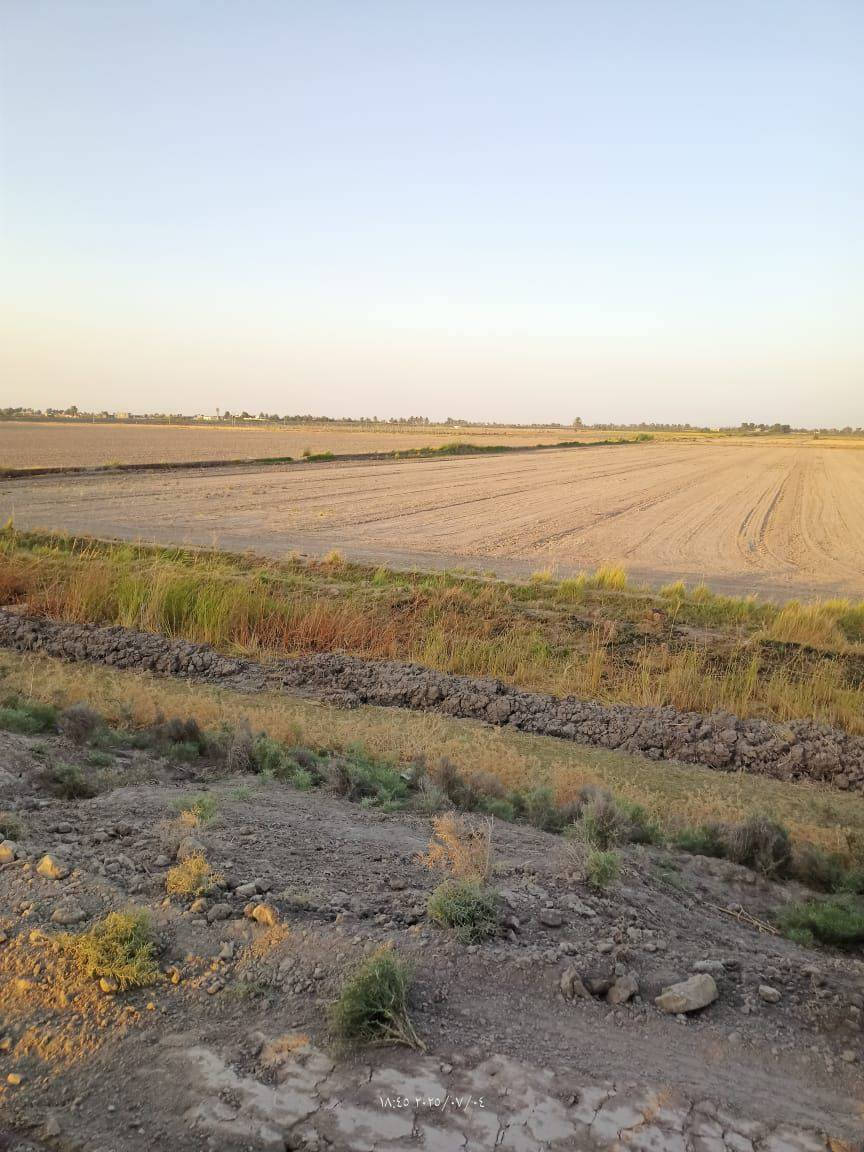 #عقارات: ليش لازم تشتري عقار بمنطقة الشيخ عامر يم  مرقد بنات الحسن وذراع دجله  💵 8دونم 

🥇اول ميزه بيهه عليه اكثر من مدخل🛣 
(من جسر سبع البور ومن جسر الرعود ومن سريع التاجي سامراء )🏗🏡

🥈ثاني ميزه والي هيه مهمه  كلش (لضمان حق المشتري ما تدفع فلوسك لحد ما تفتح  بيان بل التسجيل العقاري  سند 25/ملك صرف)

عل الشارع التبليط🚦
متوفر ماء وكهرباء وخدمات كامله🛣

تريد تسويهه مزرعه فله او استثمار 💰(واجهة الدونم الواحد 50 متر مربع )

#السعر خيالي جدا 
للاستفسار اكثر اتصل بالارقام التالية الاس تفسارات اتصل 
تصال *********** 
بي واتساب
