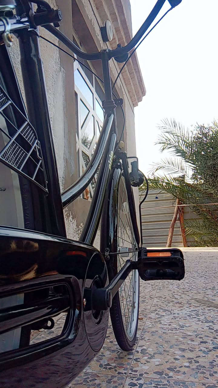 سلام عليكم باسكل مال حاويه 2021 باسكل سعر مناسب جدا ماكان نجف كوفه. *********** وسعر مناسب.
