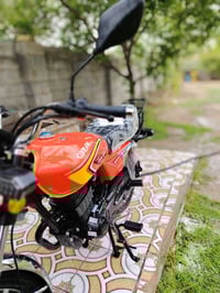 ٢٠٢٥ • داقط • المحمودية