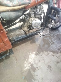 ستوته • شغاله • البصره