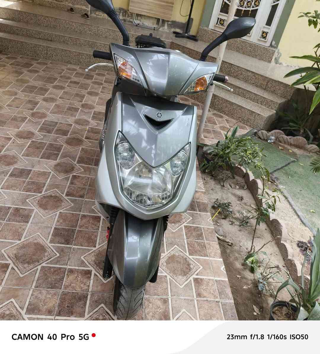 سكنس فحل للبيع بلادية مكفولة من الطول للطول السعر  950رقم ***********
