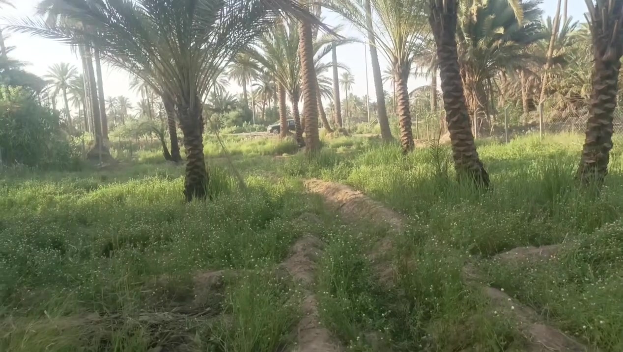 ثلاثه  دونم 
طابو زراعي سند 25 تحويل مباشر 
وجه الارض 25
الارض مباشر على تبليط نهر سقي مخلف كافه خدمات متوفره يمك 
بوجه الارض اي مشروع بالك يصير لن شارع عام 
موقع كربلاء منطقه الدوهيه بين طوريج كربلاء 
تفاصيل الارض بالفيديو 
***********
***********
