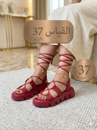 نسائية • سلبرات • توصيل