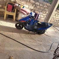 بوشه ٤٩ • سلف شغاله • اف ام