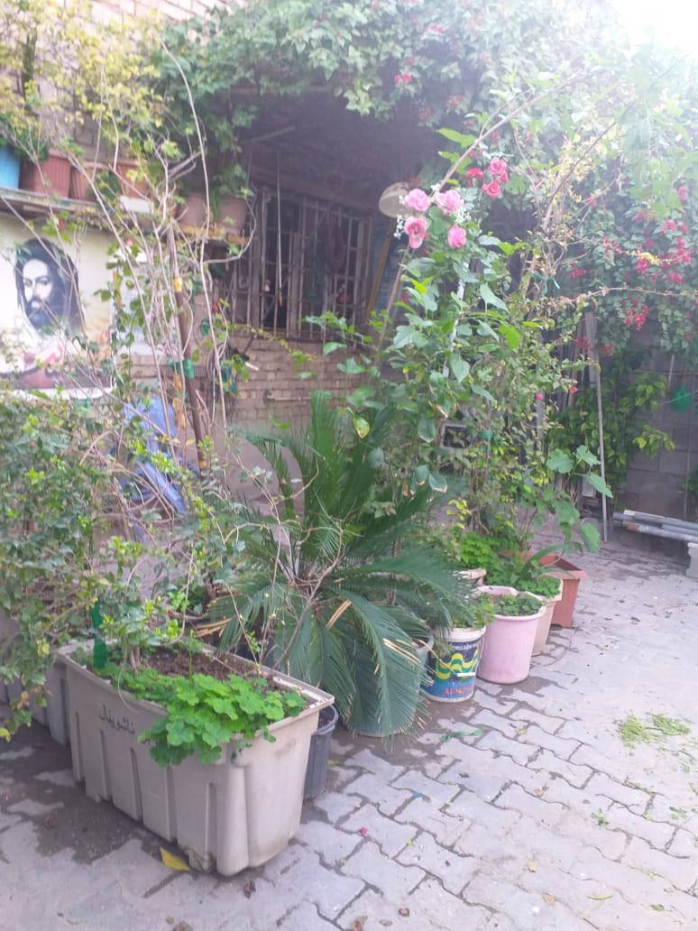 سنادين زرع للبيع 
رارنج 
جهنميه 
ياس 
تين 
نخل زينه سكايس

‭0772 637 0437‬
بسعر مناسب
