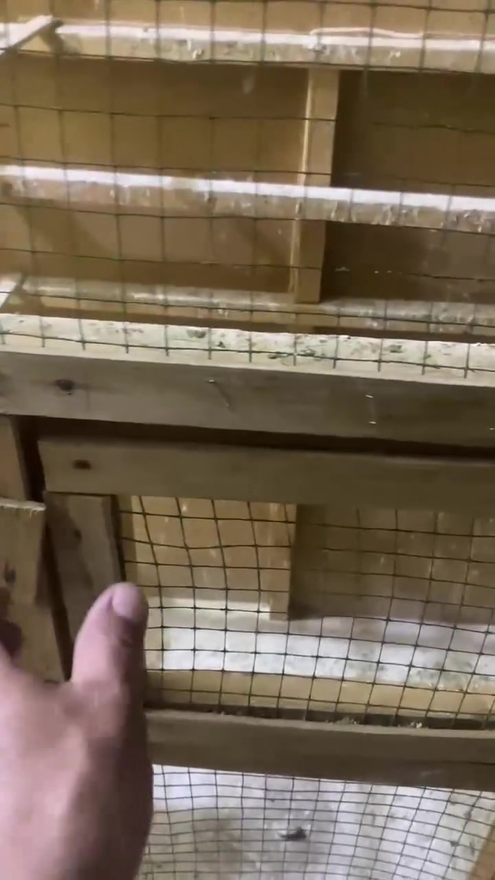 سلام عليكم من رخصت مدير الكروب
قفص مال طبور حب ب 50 مكاني كربلاء
***********
