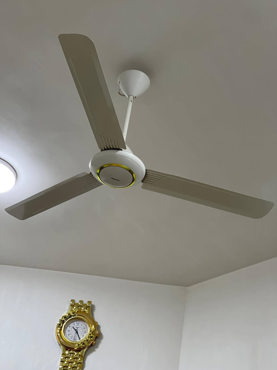 مراوح سقفيه موسم واحد اللبيع السعر ٣٠الوحده


**إذا كنت صاحب هذا الإعلان وتريد حذفه لأي سبب، رجاءا أرسل رسالة إلى الدعم الفني**