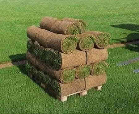 في بداية الموسم الجديد نعلن لكم بيع الثيل الهندي #درجة اولى خضار ١٠٠./. يتحمل جميع الظروف المناخيه
ثيل طبيعي وخضار ولا اروع 💚

نوعية ممتازة ودرجه اولى ⁦1️⃣⁩
ودائم الخضره 

ثيل #هندي  #امريكي   #ايطالي #انكليزي

اسعارنا الانسب وتوصيلنا الاسرع  لكافة محافظات العراق
لمعرفة المزيد راسل الصفحه او اتصل ***********/
*********** متوفر واتساب
