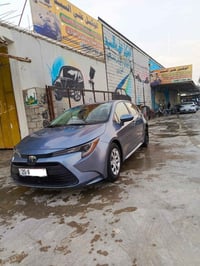 ٢٠٢٤ • وارد امريكي • بدون صبغ