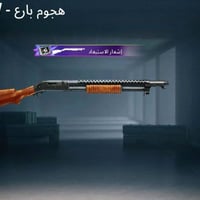 ديوانية • حساب • فول فول