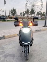 سبيسي ياباني • سلف وهندر • كوت الانوار