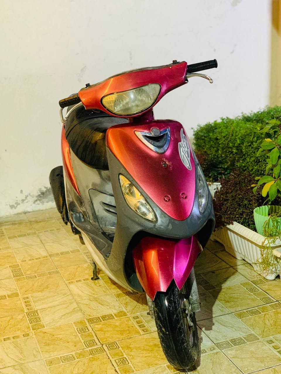 ماكس منغولي 
شلعه ومعدل ونعومه 
السعر/450 وبيها مجال لشراي 
حله مركز المدينة 
***********
