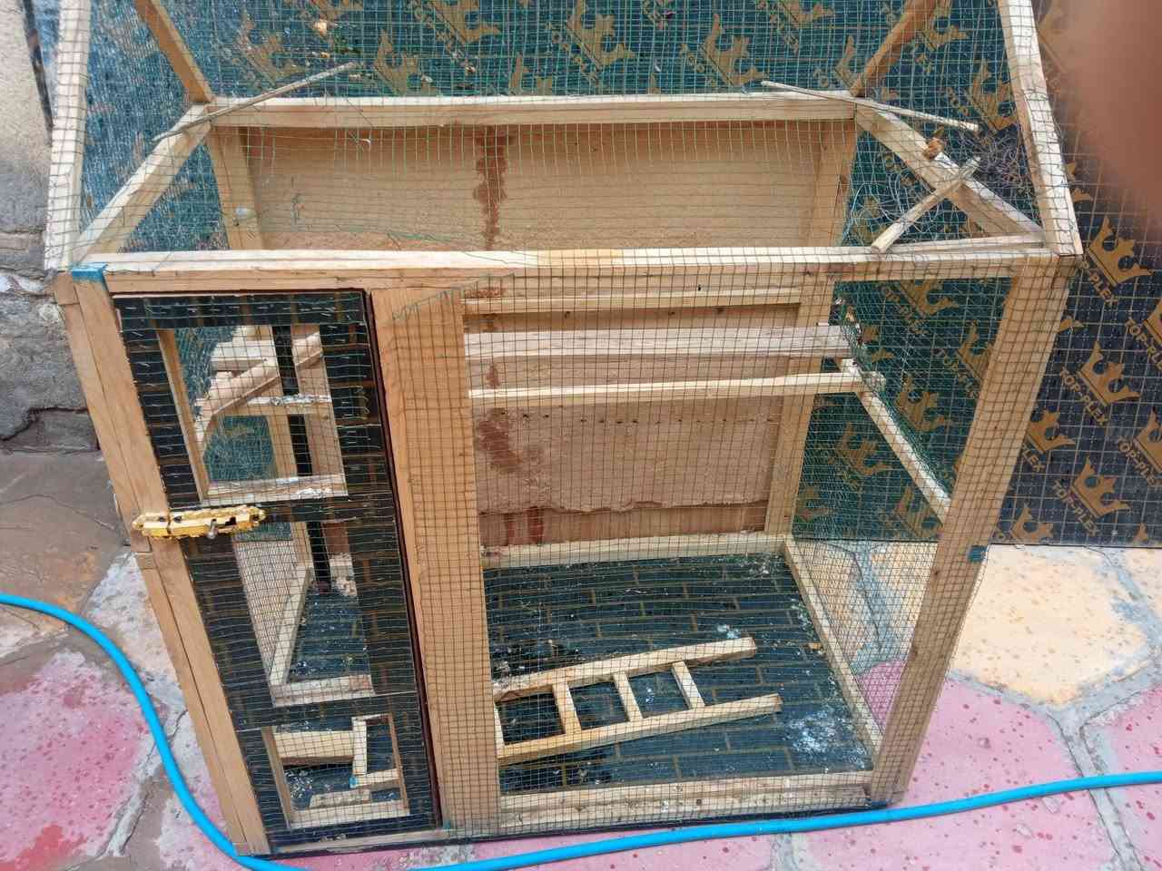 سلام عليكم قفص بلابل للبيع
العنوان بابل القاسم الستفسار ***********
السعر 25وبيه مجال
