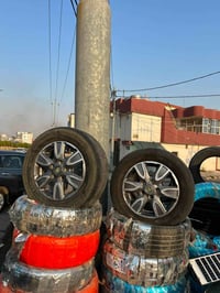 ويل ١٥ • بيك اب • فطرين صغار