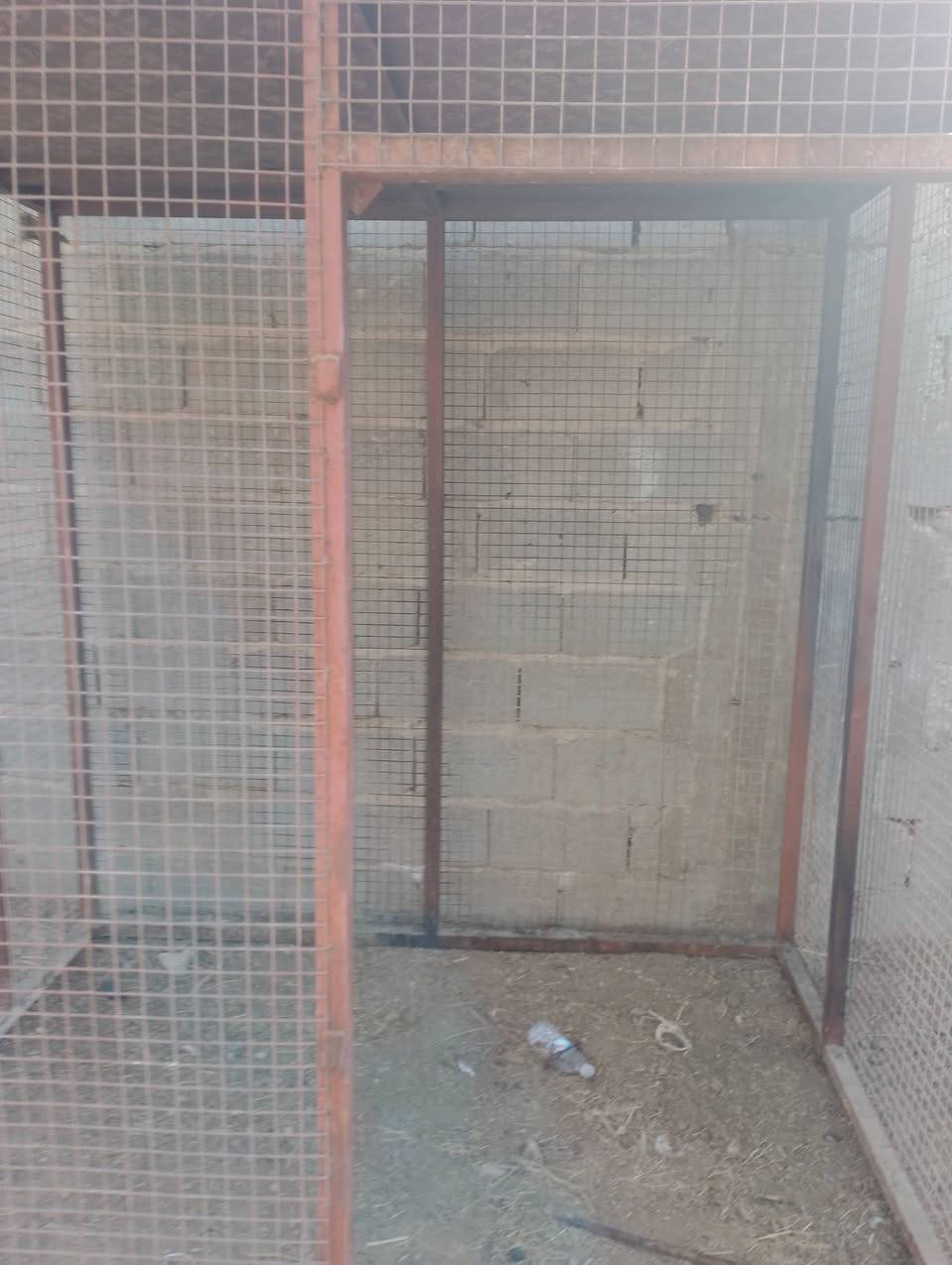 السلام عليكم قفص للبيع الوجه مترين والارتفاع مترين سعر المطلوب 225 عنوان كربلاء طريق بغداد يم مطبخ العتبه


**إذا كنت صاحب هذا الإعلان وتريد حذفه لأي سبب، رجاءا أرسل رسالة إلى الدعم الفني**