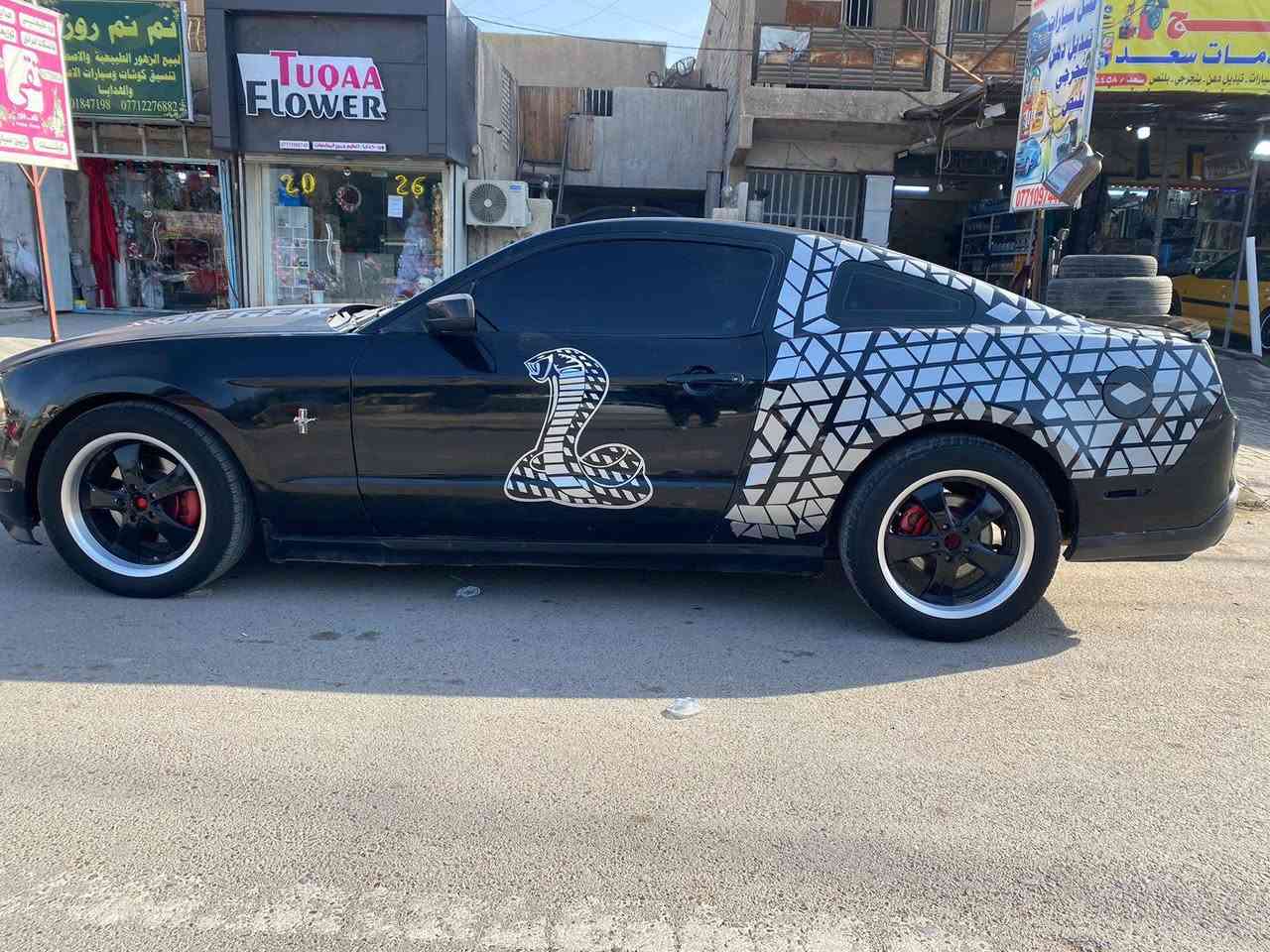 السلام عليكم اخوان
موستنك مديل ٢٠١٢ رقم واسط الجديد بسمي سنويه٢٠٣٠

تحويل ثاني يوم 

السياره برميوم يعني فول دشبول ٧ الوان بيها تخم تاير جديد كير ومكينه مكفولات تبريدها ثلج البنيد مغلف كاربون الداخل كاربون السياره حلوه وكاعده وبل حقيقه احلا من الصور بيها دوشمه جديده السياره خير من الله 

حادثه جاملغ امامي وبنيد مال امريكا وهنا مصبوغه حزام جمالية السياره نقصه صدر خلفي و تحتاج الى ادامه واني ماعندي مجال اسويهن لان صاحب دوام وبعد تجي تشوف وتدلل العنوان بغداد البياع شرطه الرابعه السعر (( ٦٧)) 

وبيها شي بسيط السياره متعوب عليها ‭٠٧٧٢ ٨٠٢ ٩٥٧٢‬ 

الشراي يتصل وبلخدمه
